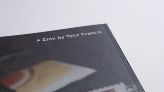 Spare Him Indignity - A6 poetry Zine