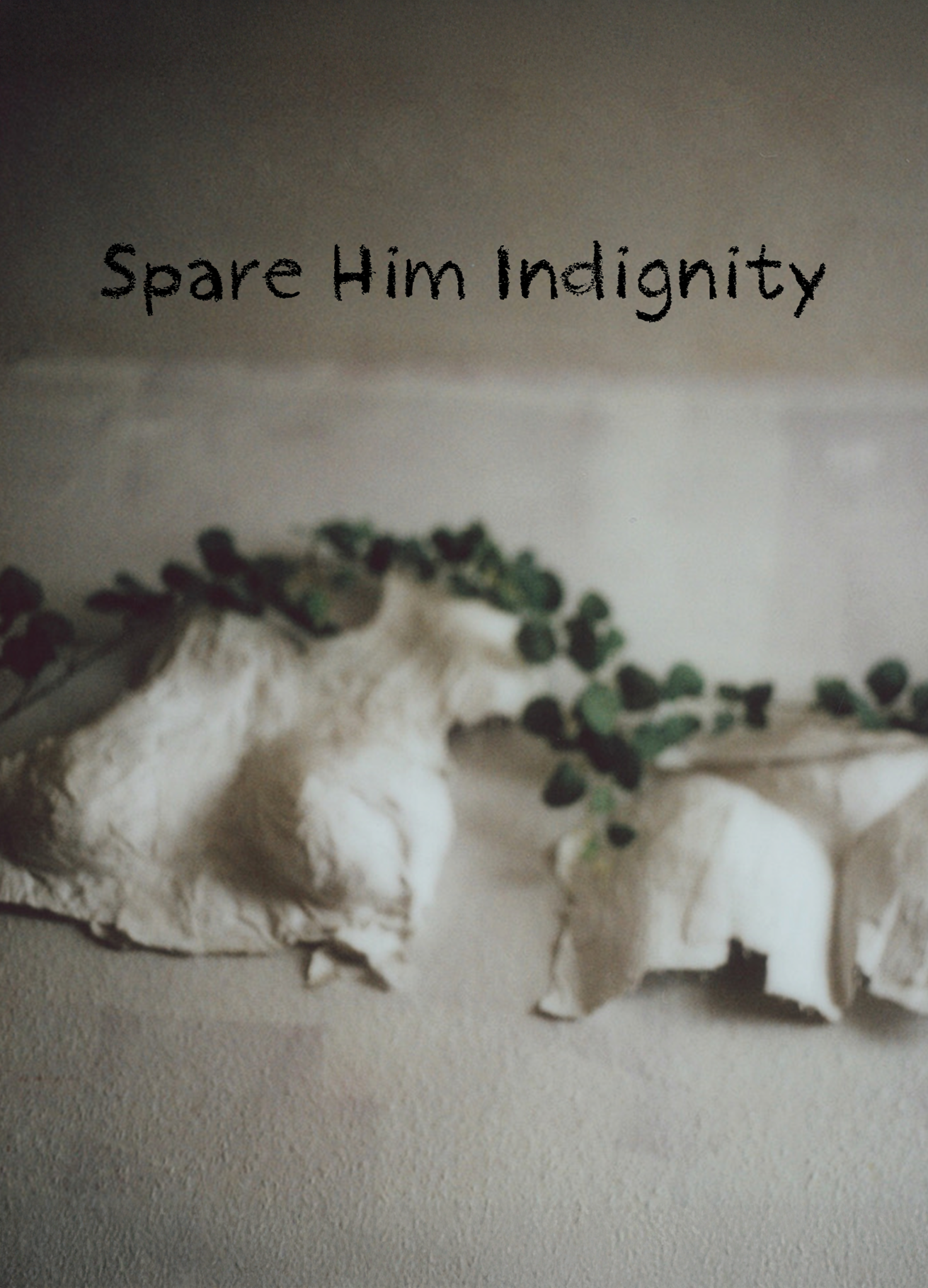 Spare Him Indignity - A6 poetry Zine