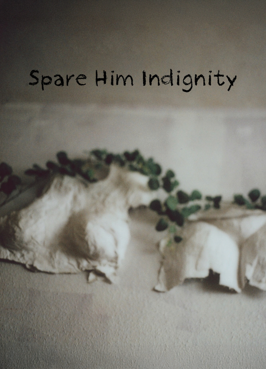 Spare Him Indignity - A6 poetry Zine